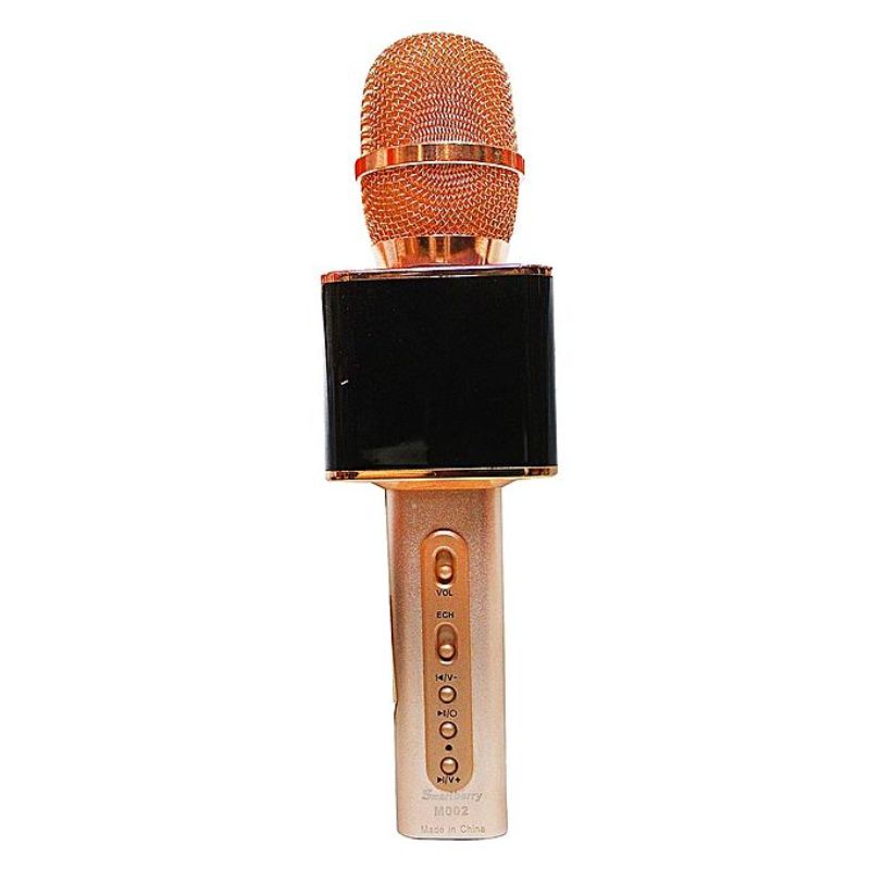 SmartBerry M002 Magic Karaoke Bluetooth Speaker