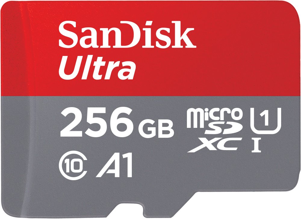 SanDisk 256GB Memory Card 